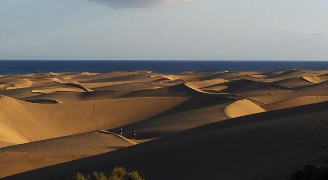 Islas Canarias